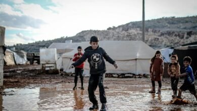 region activity summary report