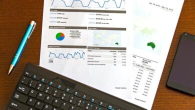 overview and insights provided
